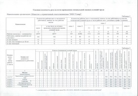 Сводная ведомость результатов проведения СОУТ, 2017 г., стр. 1