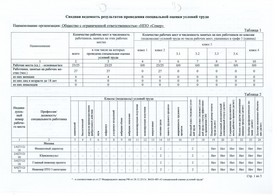 Сводная ведомость результатов проведения СОУТ, 2019 г., стр. 1