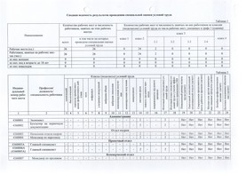 Сводная ведомость результатов проведения СОУТ, 2021 г., стр. 1